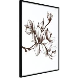 Arkiio Affisch Renaissance Magnolias [Poster] 40x60 Poster